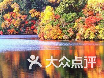 时尚渐变发型