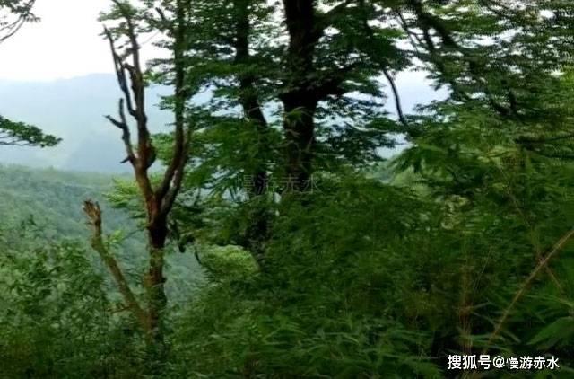 中阳县“千万养怡 幸福助老”新春捐赠活动温暖人心